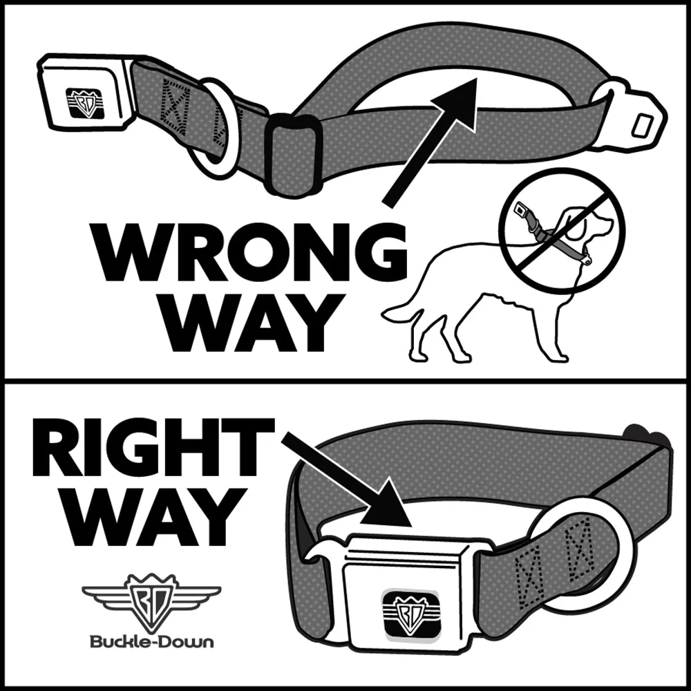 House of the Dragon Eye Seatbelt Buckle Dog Collar - Image 11