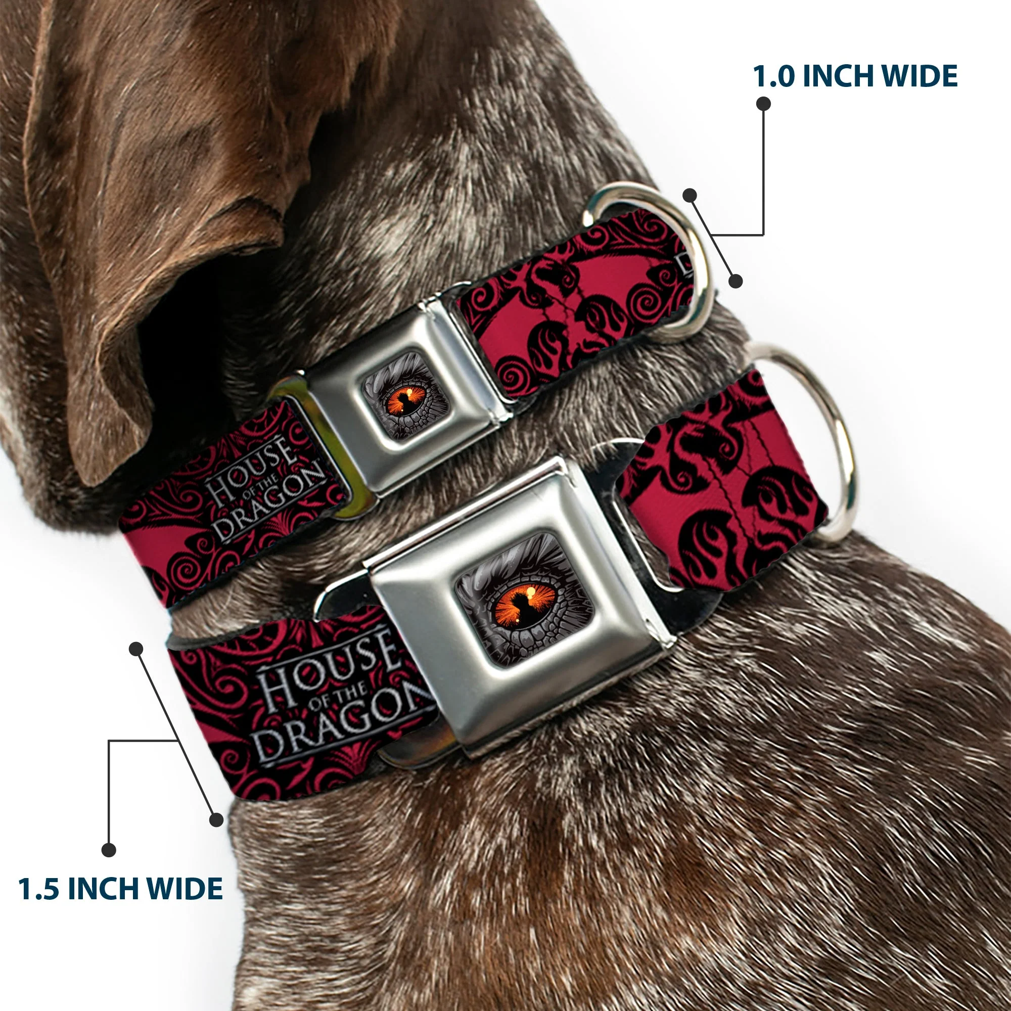 House of the Dragon Eye Seatbelt Buckle Dog Collar - Image 2