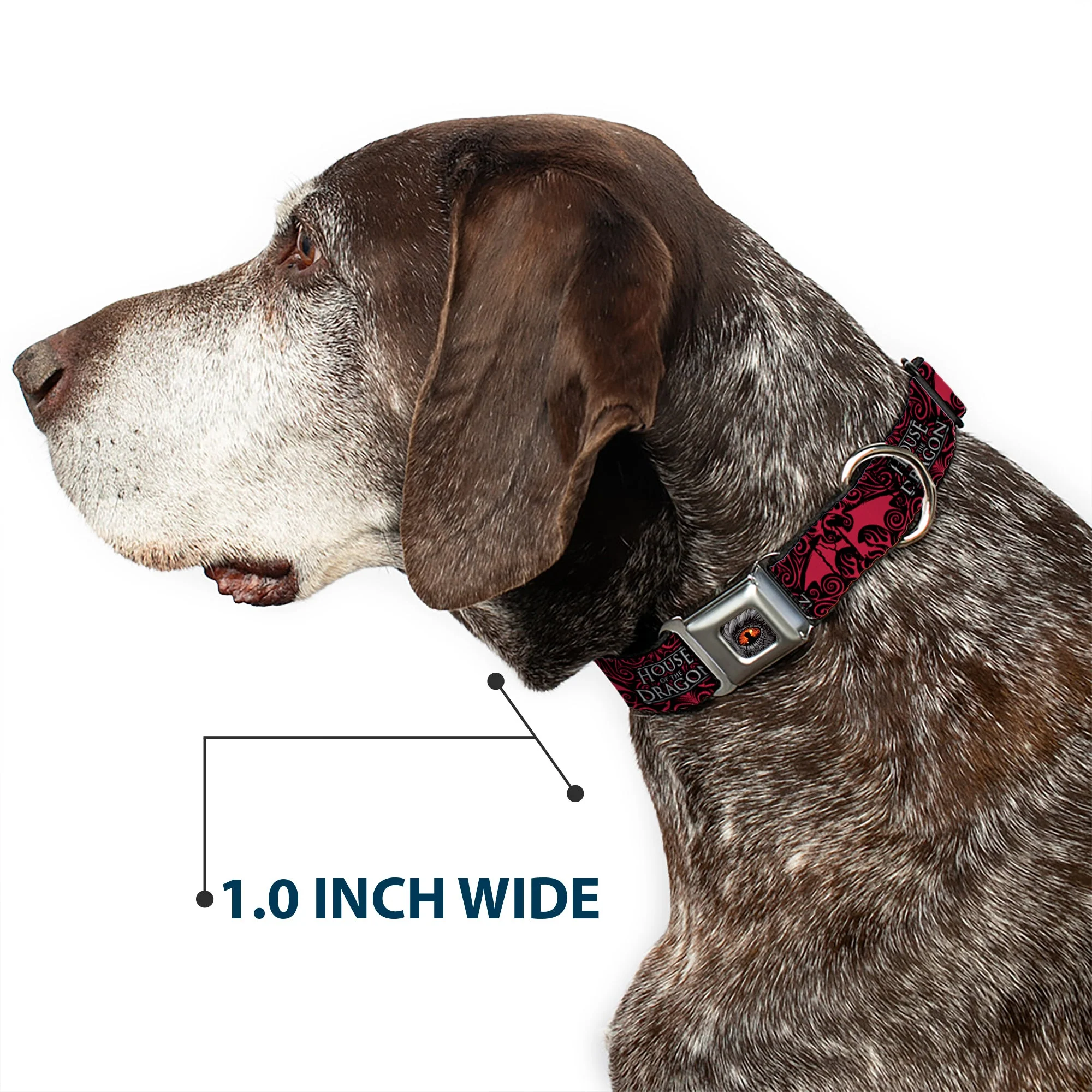 House of the Dragon Eye Seatbelt Buckle Dog Collar - Image 6