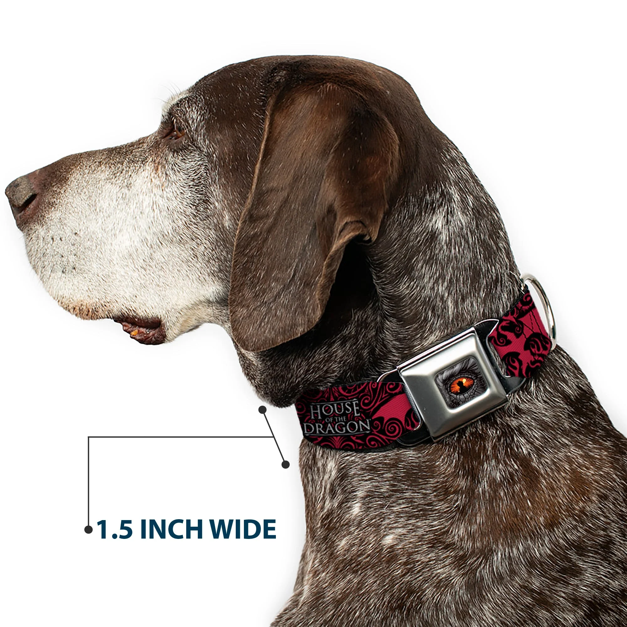 House of the Dragon Eye Seatbelt Buckle Dog Collar - Image 7