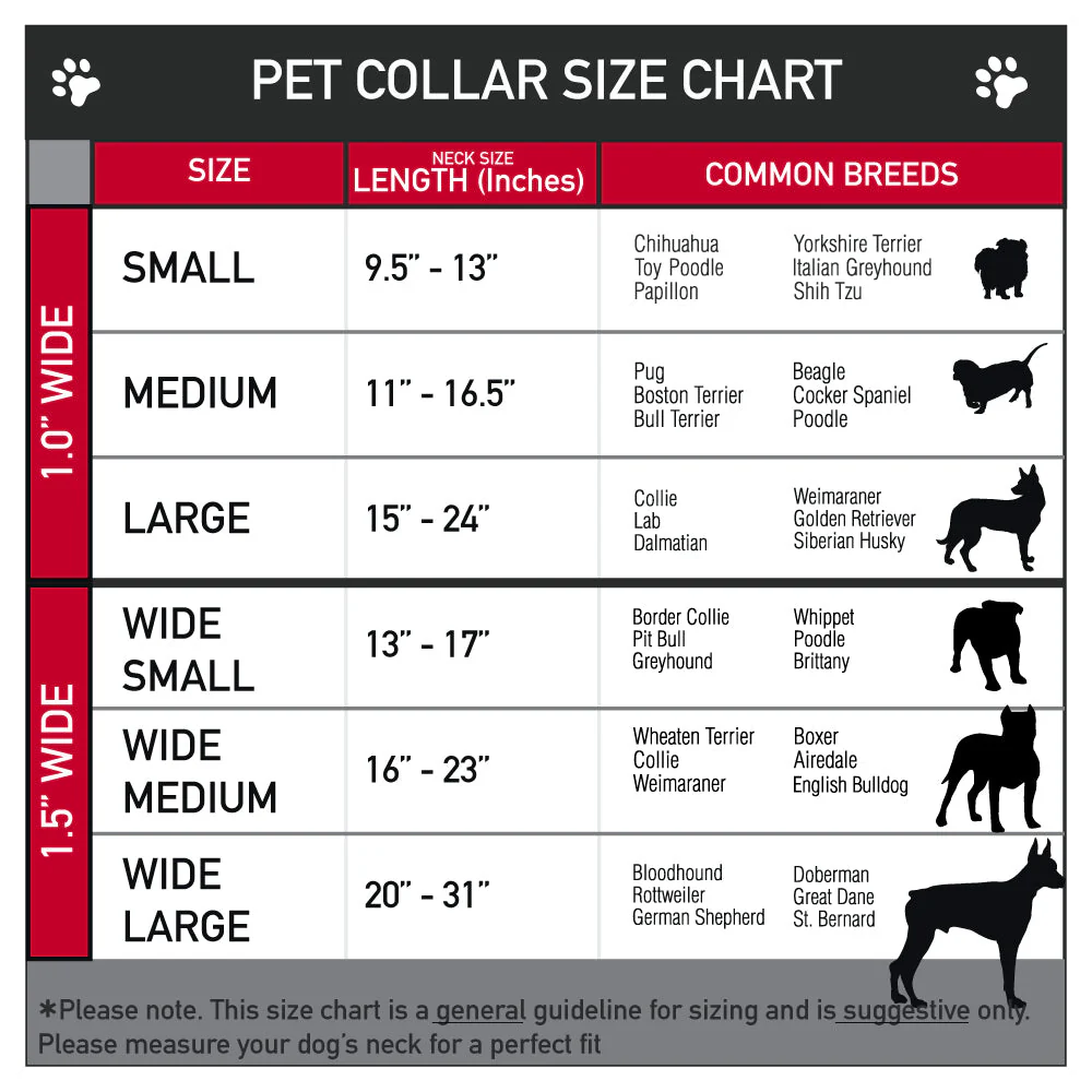 House of the Dragon Eye Seatbelt Buckle Dog Collar - Image 9