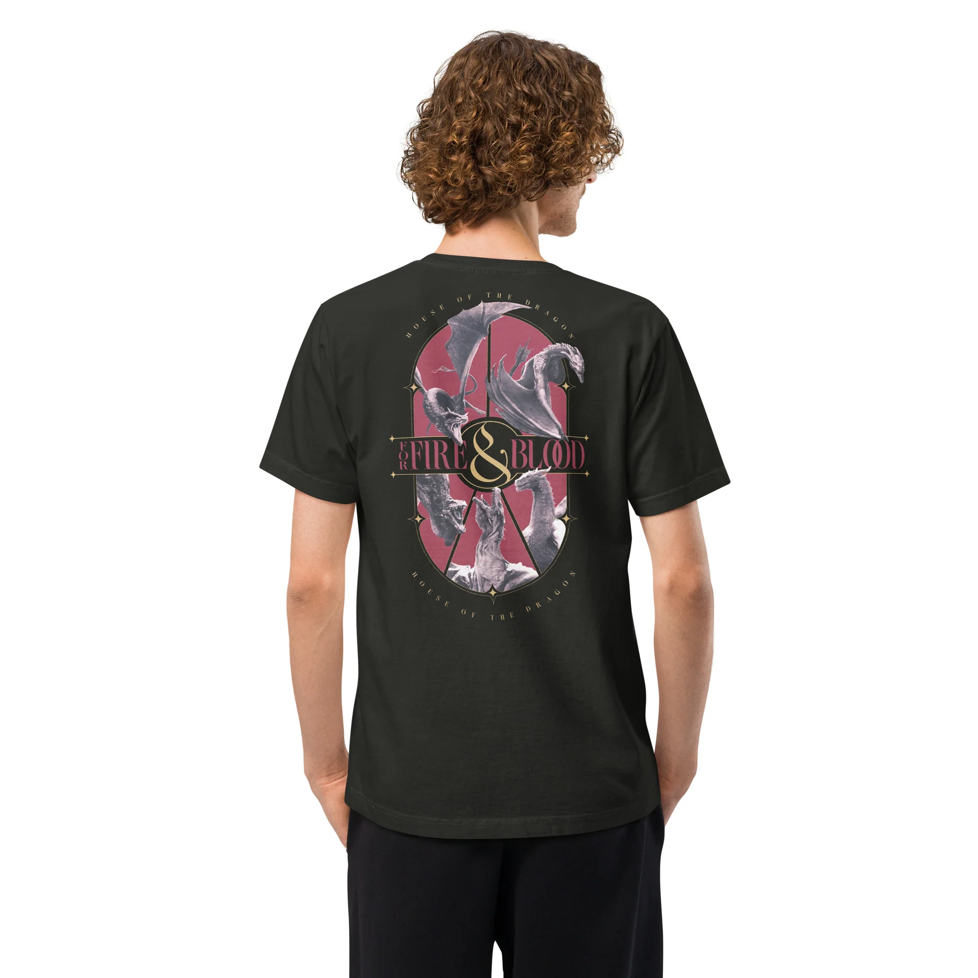 House of the Dragon T-shirt For Fire & Blood - Image 4