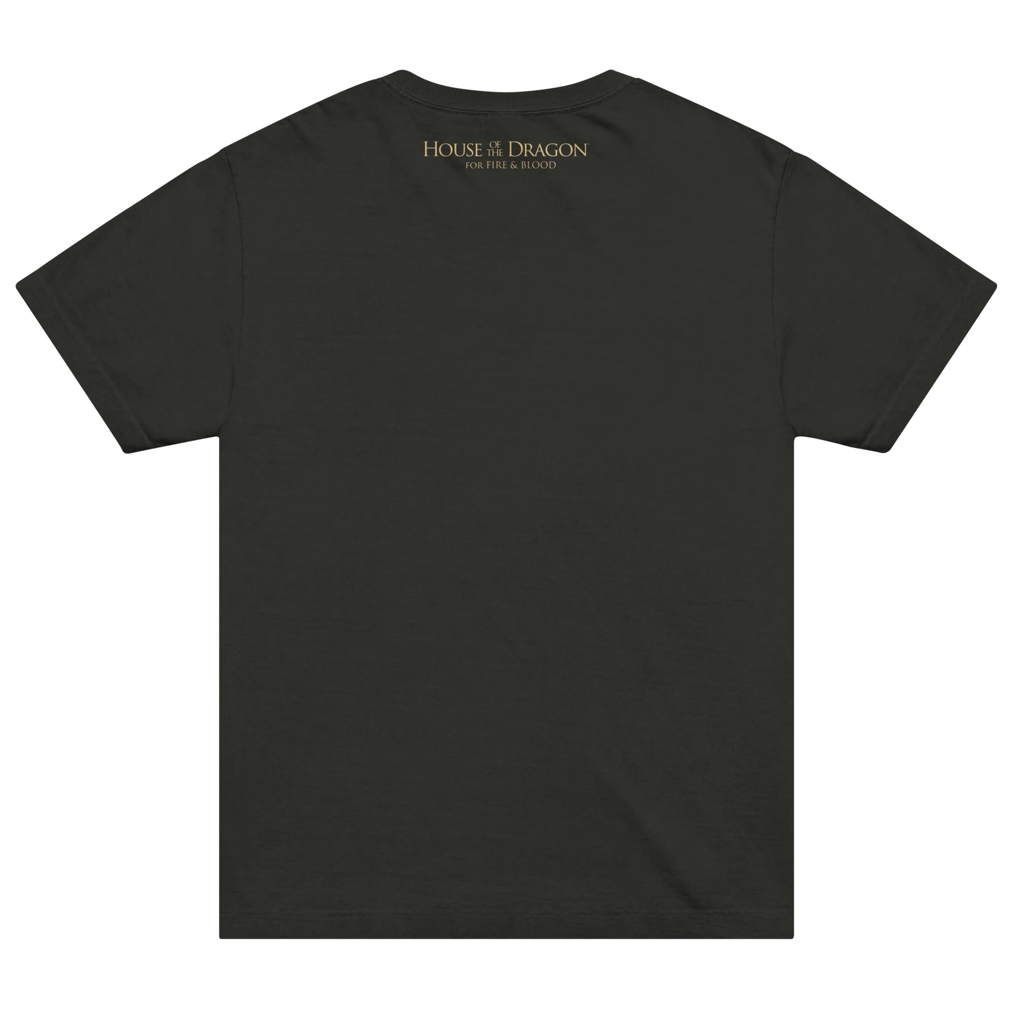 House of the Dragon T-shirt I Did Not Wish to Be Ordinary - Image 2