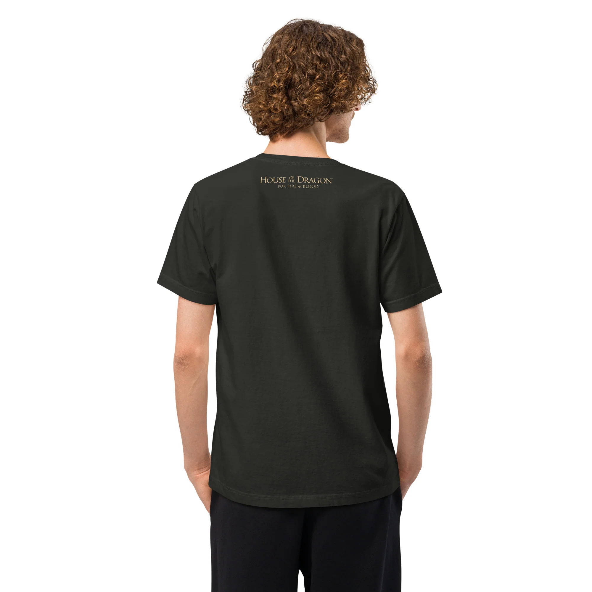 House of the Dragon T-shirt I Did Not Wish to Be Ordinary - Image 6