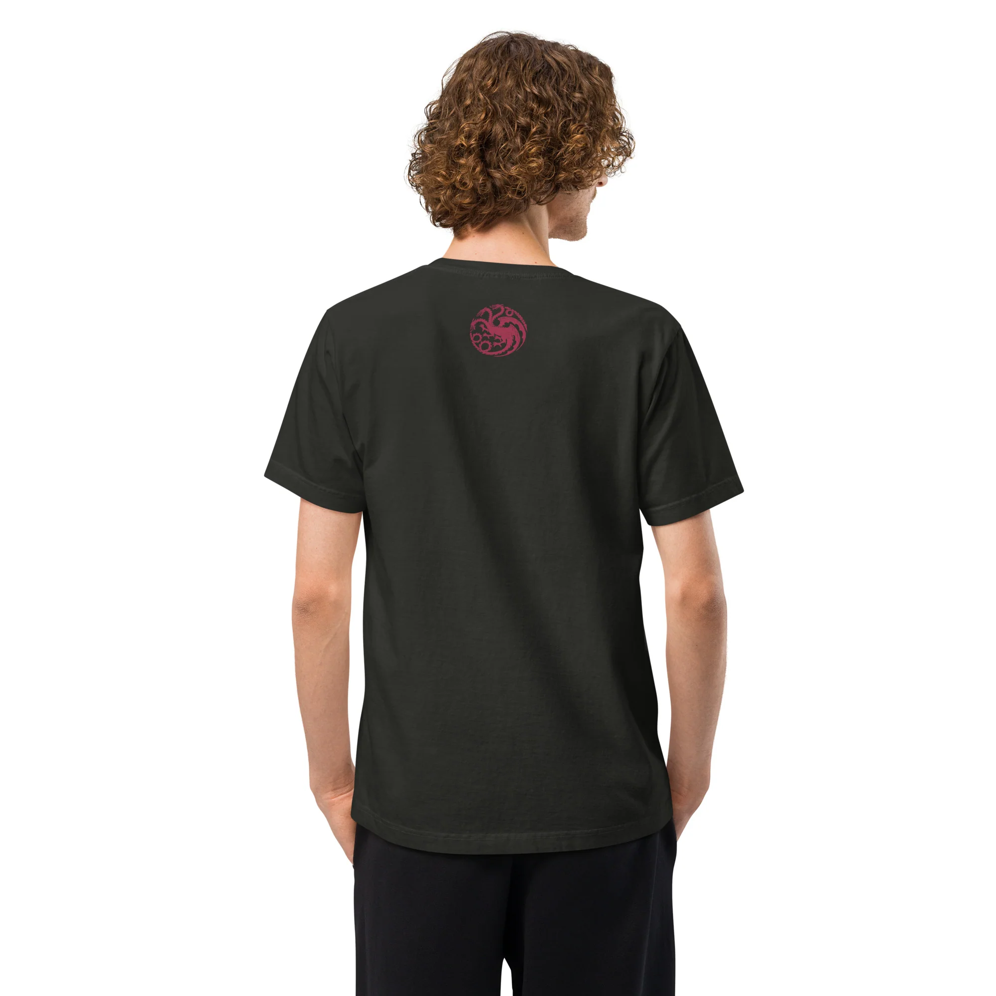 House of the Dragon T-shirt I’ve Got a Dragon - Image 4