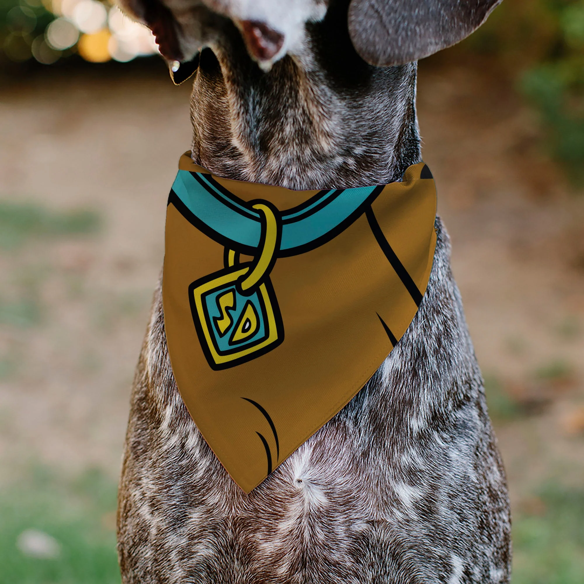 Scooby-Doo! Close-Up Collar SD Dog Tag Pet Bandana - Image 4