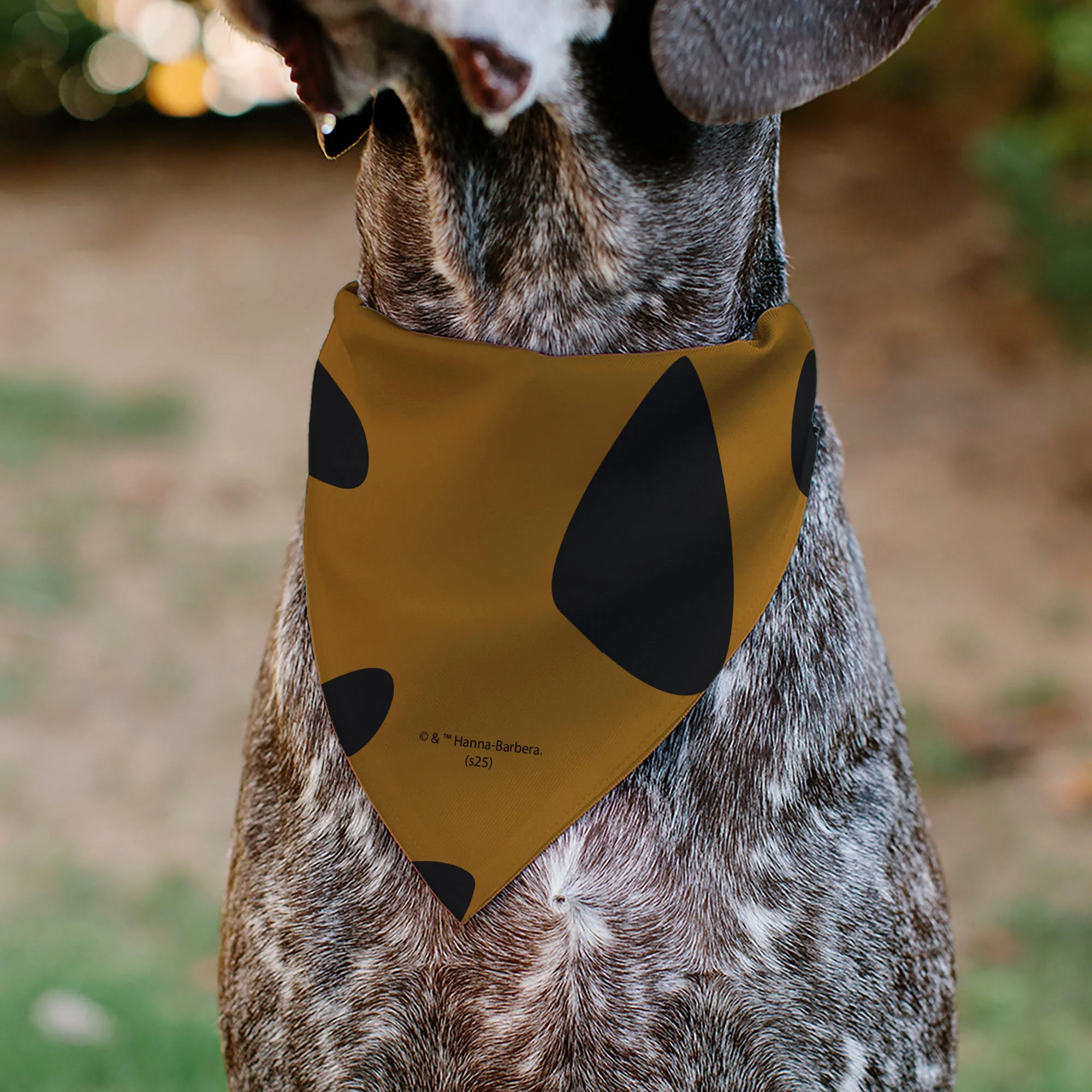 Scooby-Doo! Close-Up Collar SD Dog Tag Pet Bandana - Image 5
