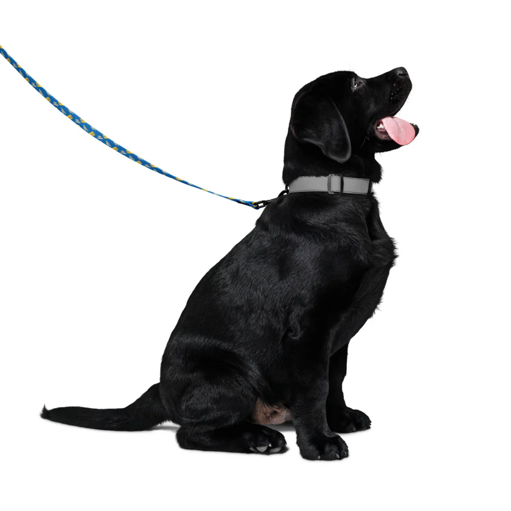 Ted Lasso Believe Pet Leash - Image 2